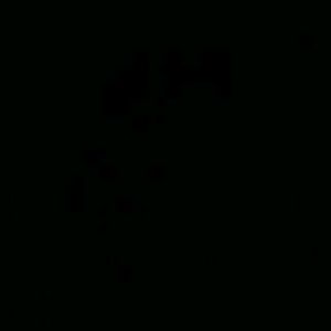 Meet your Posher, Jeff